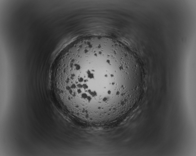 X0000086960194200705071343