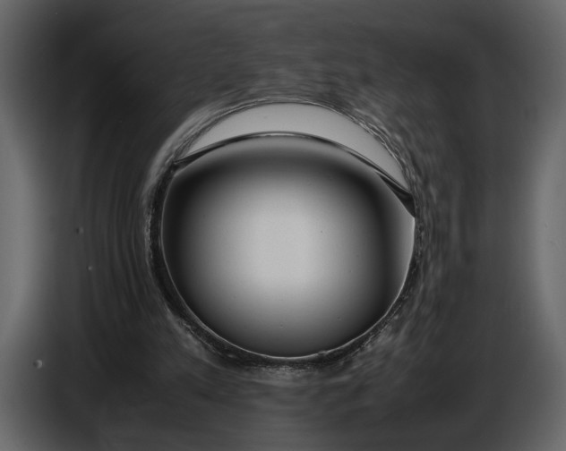 X0000086960197200705071343