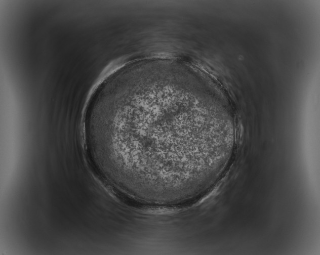 X0000086960198200705071343