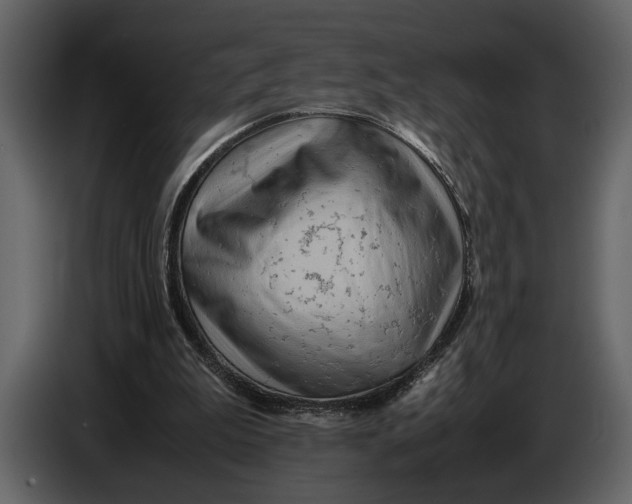 X0000086960199200705071343