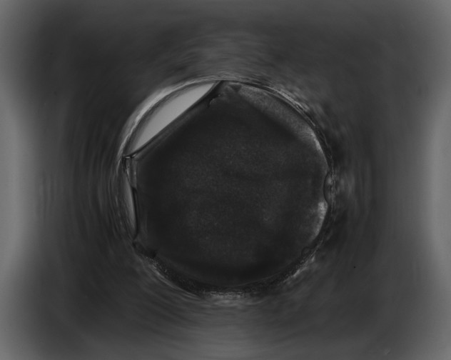 X0000086960200200705071343