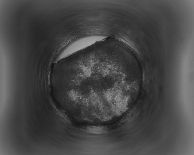 X0000086960202200705071343