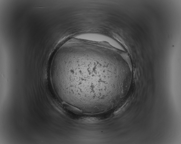 X0000086960203200705071343