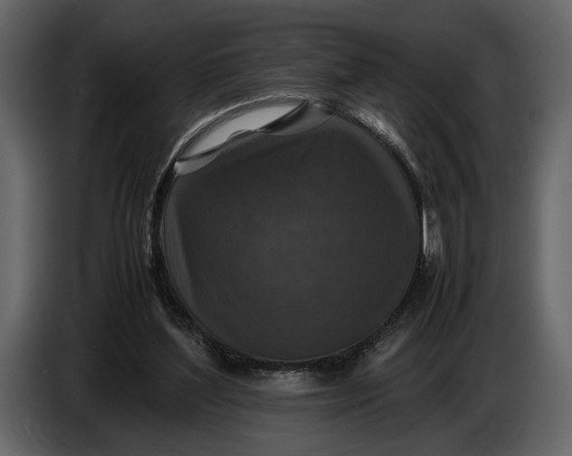 X0000086960204200705071343
