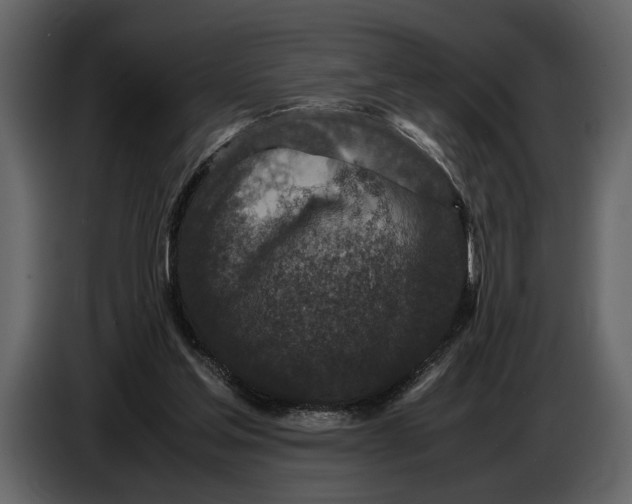 X0000086960205200705071343