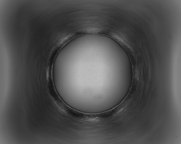 X0000086960206200705071343