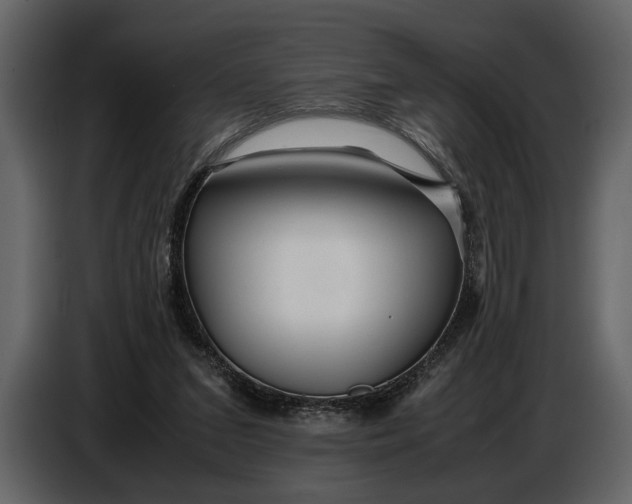 X0000086960207200705071343