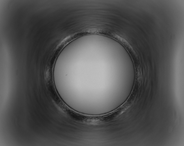 X0000086960208200705071343
