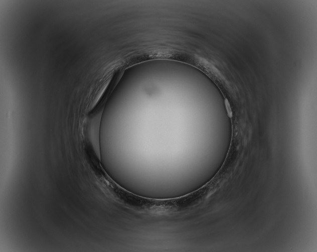 X0000086960209200705071343