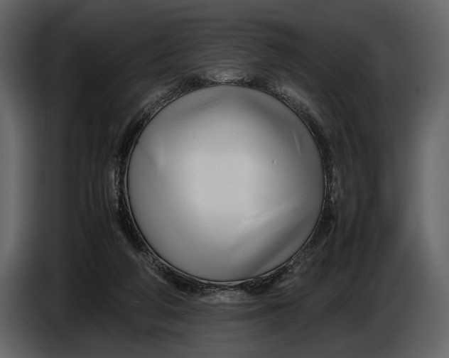 X0000086960210200705071343