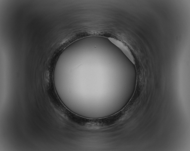 X0000086960211200705071343