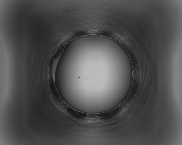 X0000086960215200705071343
