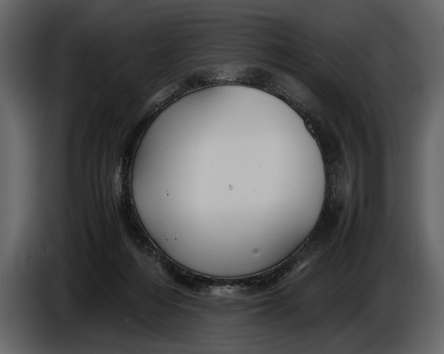 X0000086960216200705071342