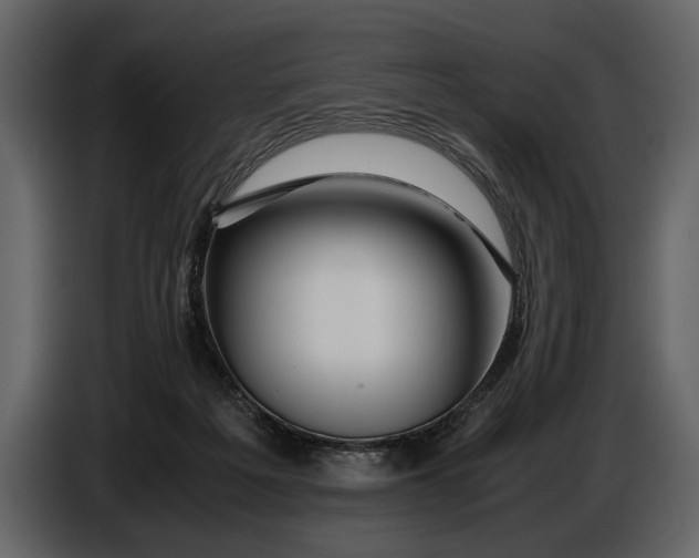 X0000086960217200705071342