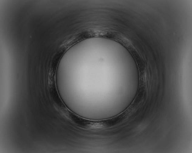 X0000086960218200705071342