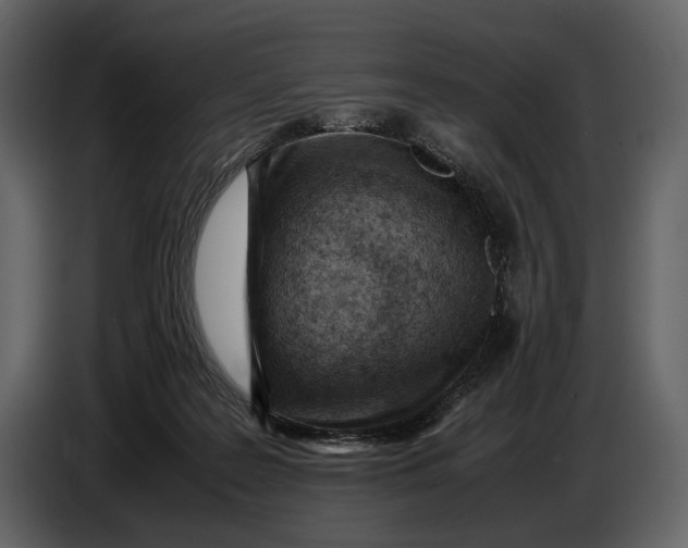 X0000086960219200705071342