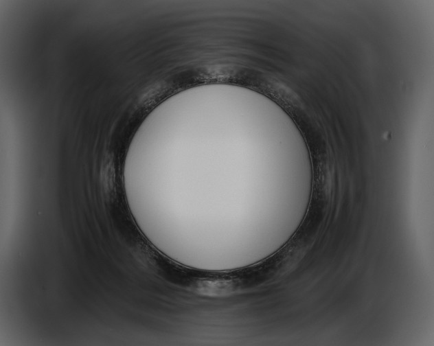 X0000086960220200705071342