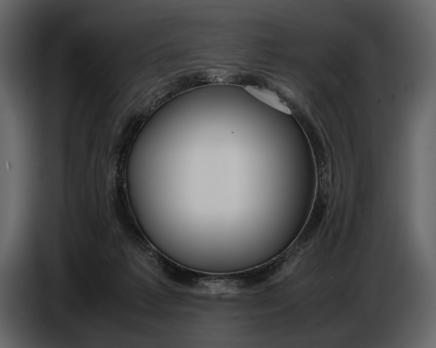 X0000086960221200705071342