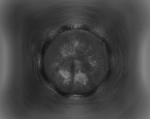 X0000086960222200705071342