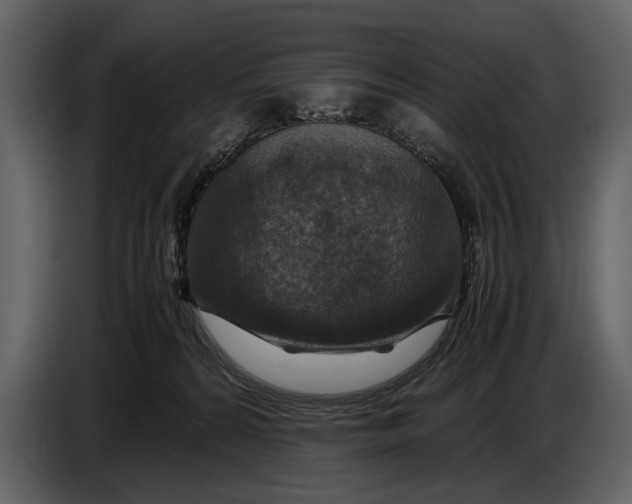 X0000086960224200705071342
