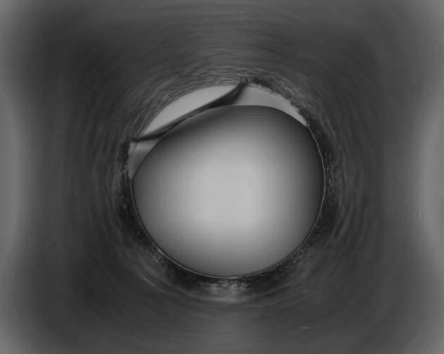 X0000086960225200705071342