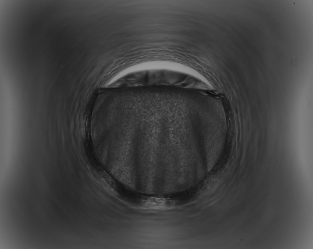 X0000086960227200705071342