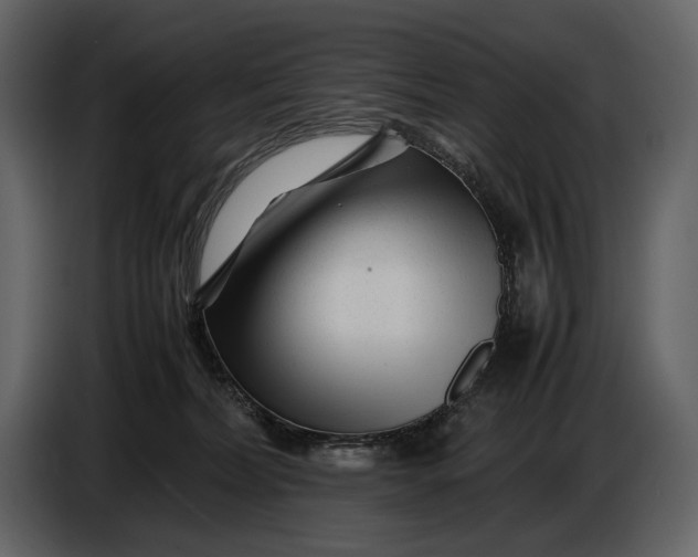 X0000086960228200705071342