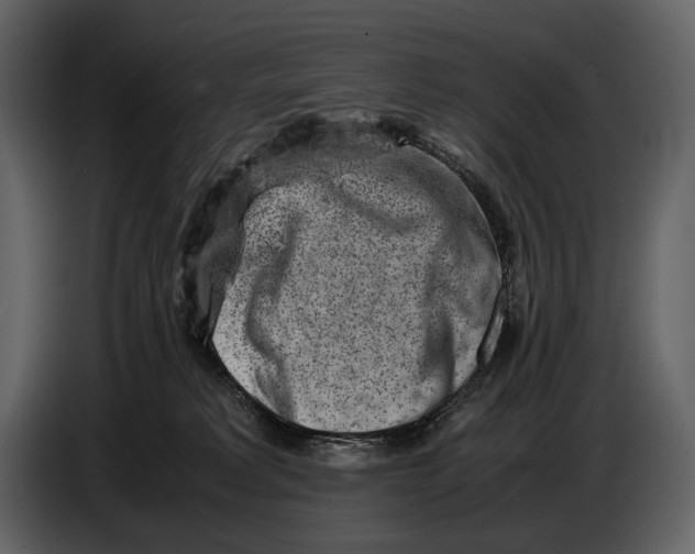 X0000086960229200705071342