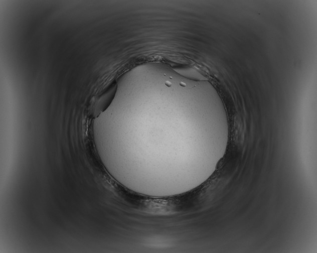 X0000086960230200705071342