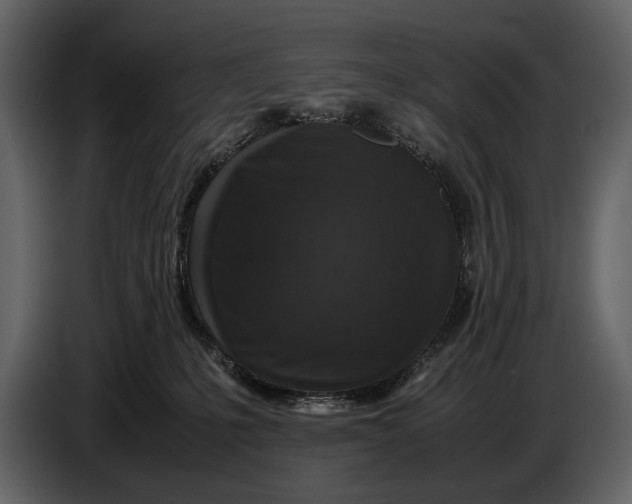 X0000086960231200705071342