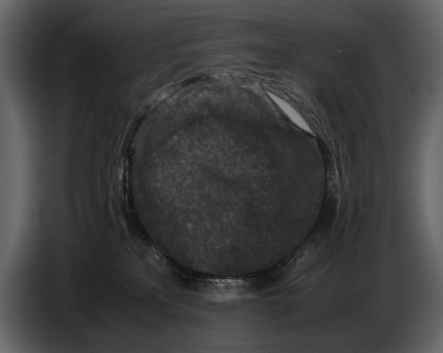 X0000086960233200705071342