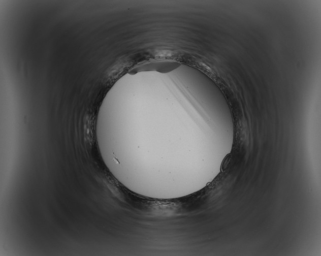 X0000086960234200705071342