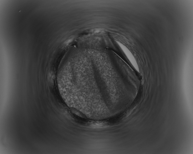 X0000086960235200705071342