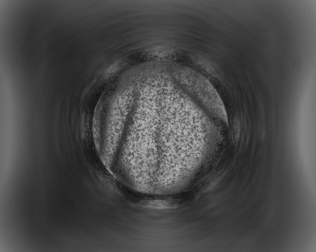 X0000086960236200705071342