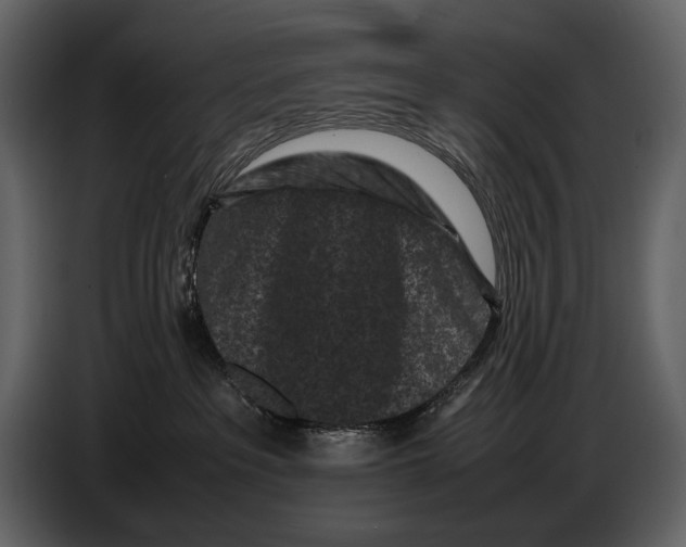 X0000086960237200705071342