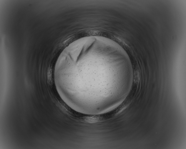 X0000086960238200705071342