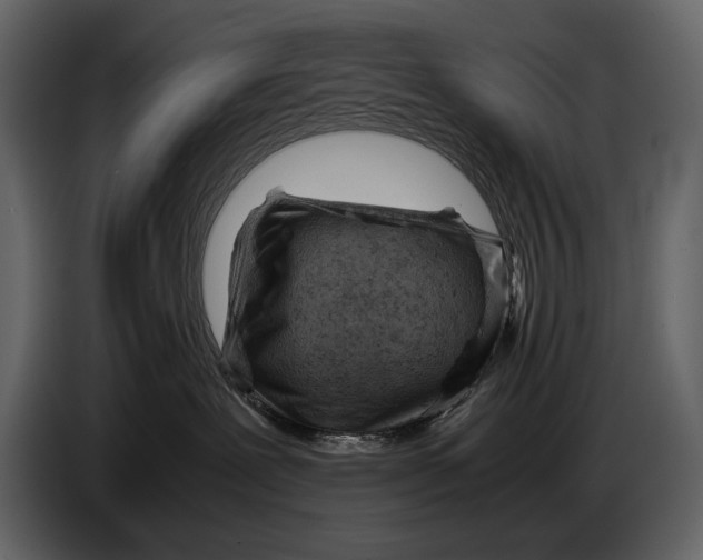 X0000086960239200705071342