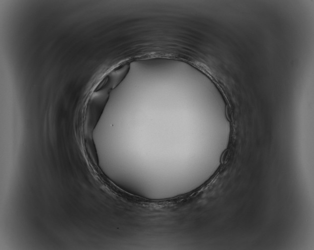 X0000086960241200705071342