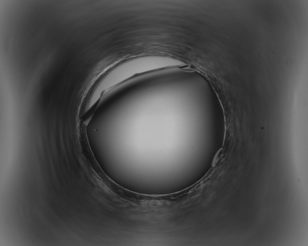 X0000086960242200705071342