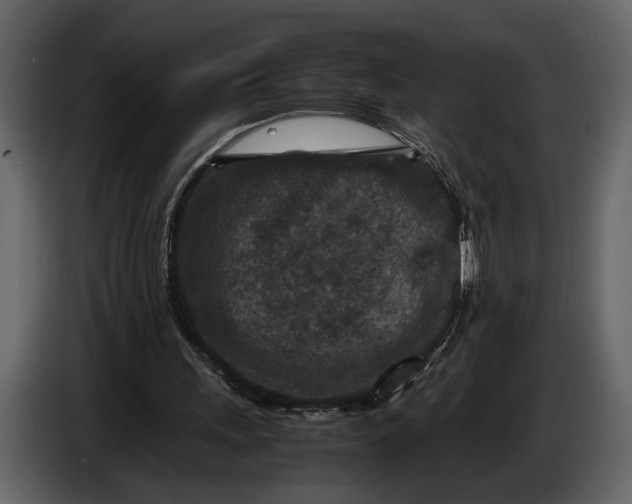X0000086960243200705071342