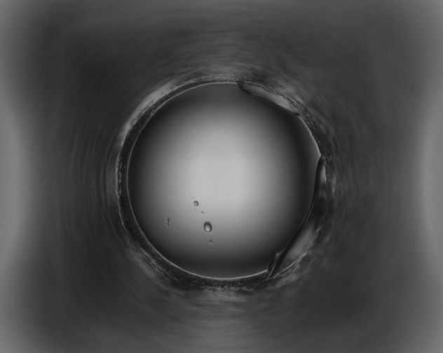 X0000086960244200705071342
