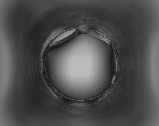 X0000086960245200705071342