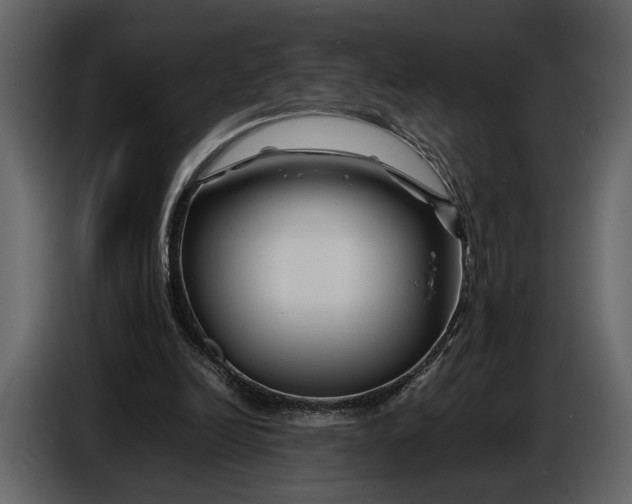 X0000086960246200705071342