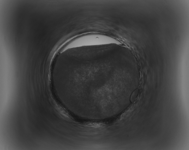 X0000086960247200705071342