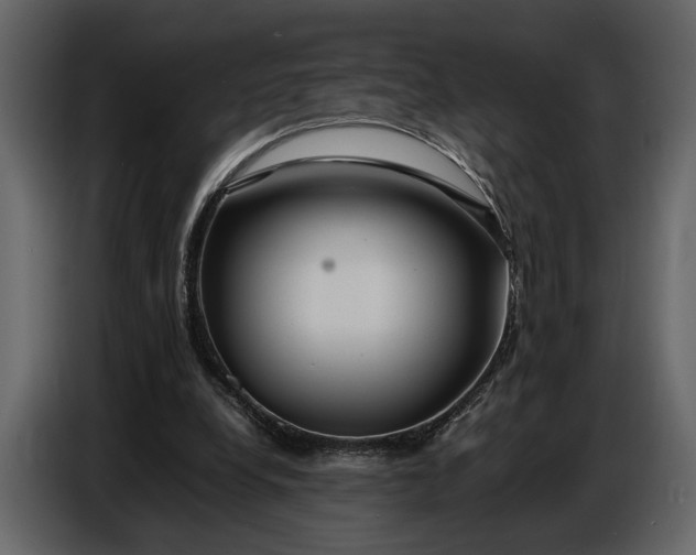 X0000086960248200705071342