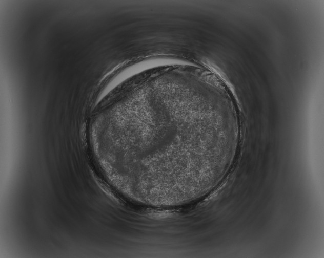 X0000086960249200705071342