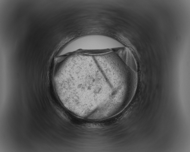 X0000086960250200705071342