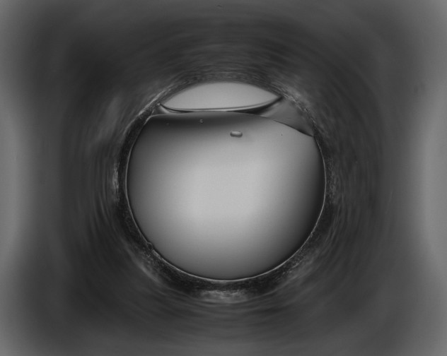X0000086960251200705071342