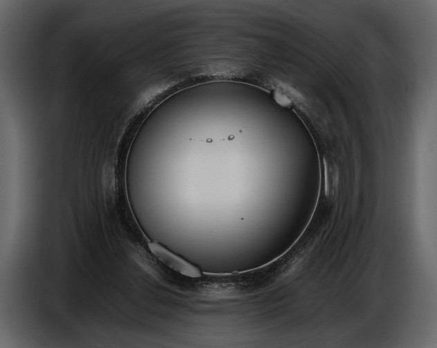 X0000086960252200705071342
