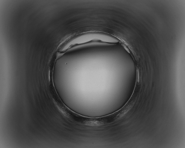 X0000086960253200705071342